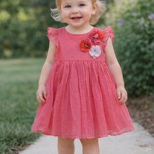 ✨ Nanette Baby Pink Chiffon Party Dress | Size 18 Months ✨
